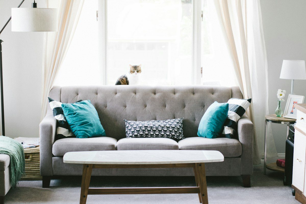 Tapacirana sofa, jastuci i tepih u dnevnoj sobi